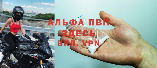 хмурый Нефтекумск
