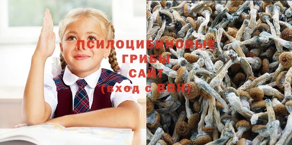 дмт Баксан