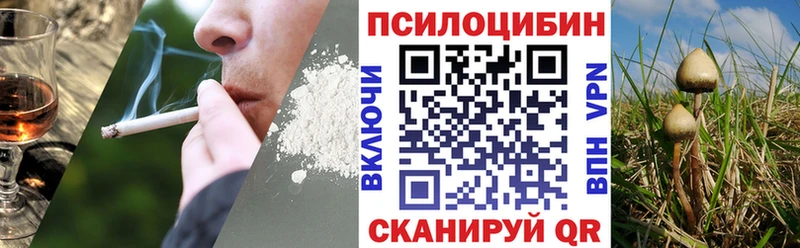 Псилоцибиновые грибы GOLDEN TEACHER  Купить  Талдом 